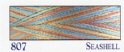 807 Rainbows Seashell