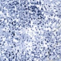 b5417
