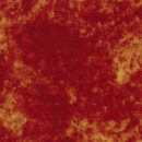 fla210