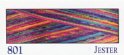 801 Rainbows Jester