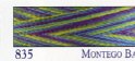 835 Rainbows Montego Bay