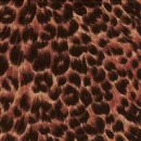 fqsn3407
