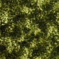 g5626