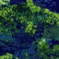 g5726