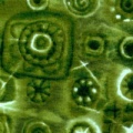 g5729