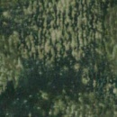 g6826