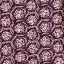 hyl117