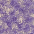 l5720