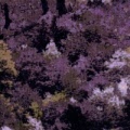 n5713