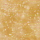 n7101