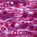 r5719