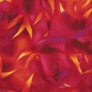 r6211