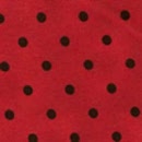 r6213