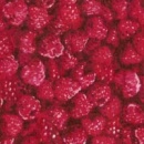r6416
