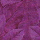 r6419