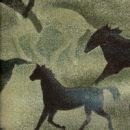 rkg8557