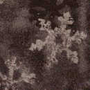 s5929