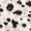 s6702