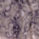 s7925