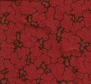sy4808