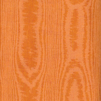 y1610