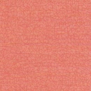 y3117
