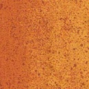 y5806