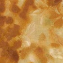 y5905