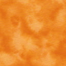 y6806