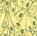 y8112
